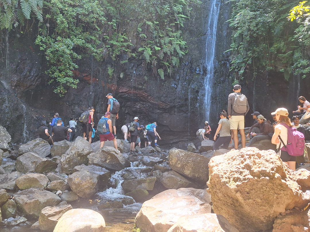 25 Fontes and Cascada da Risco-马德拉群岛必去景点