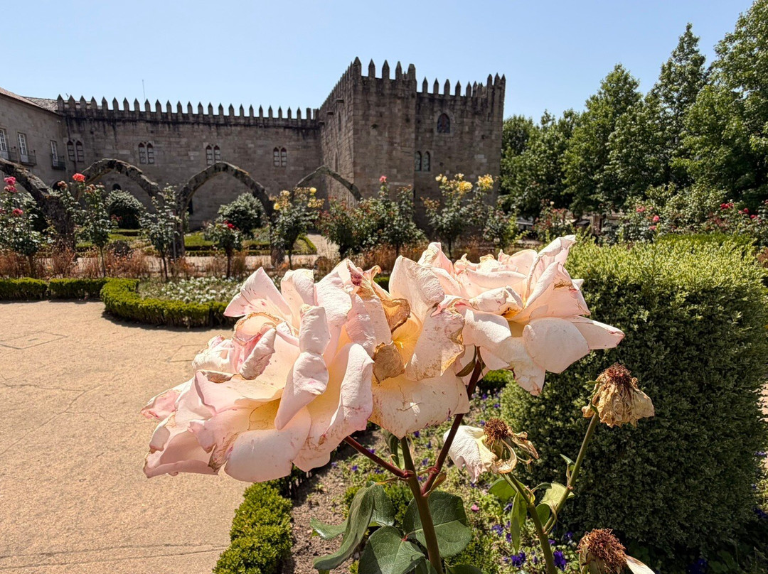 Jardim de Santa Bárbara-布拉加区必去景点