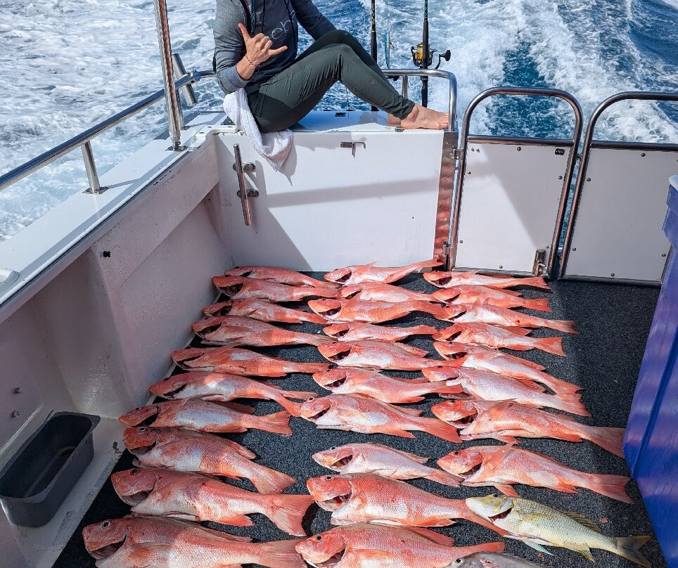 Cairns Reef Fishing-凯恩斯必去景点
