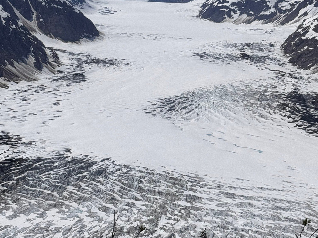 Whitecap to Icecap Adventures-Stewart必去景点