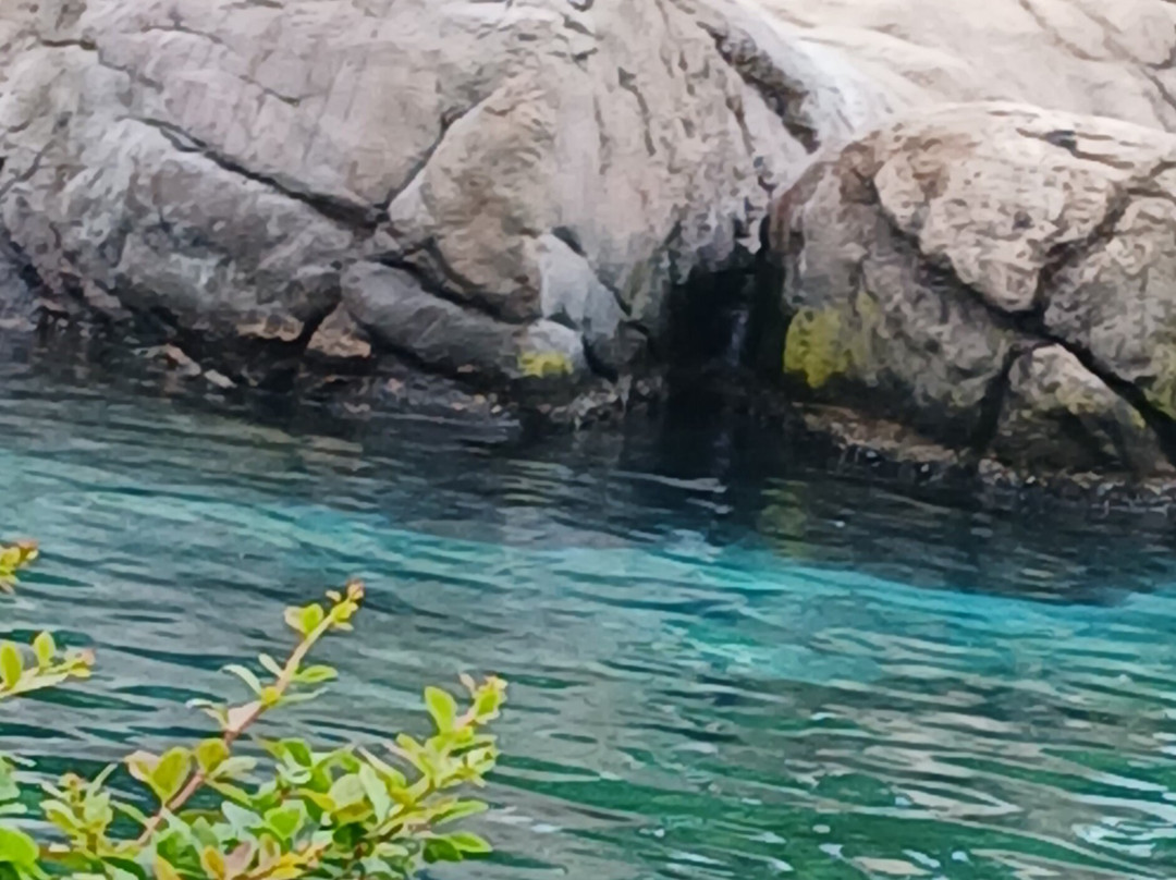 Bronx Zoo-布朗克斯必去景点