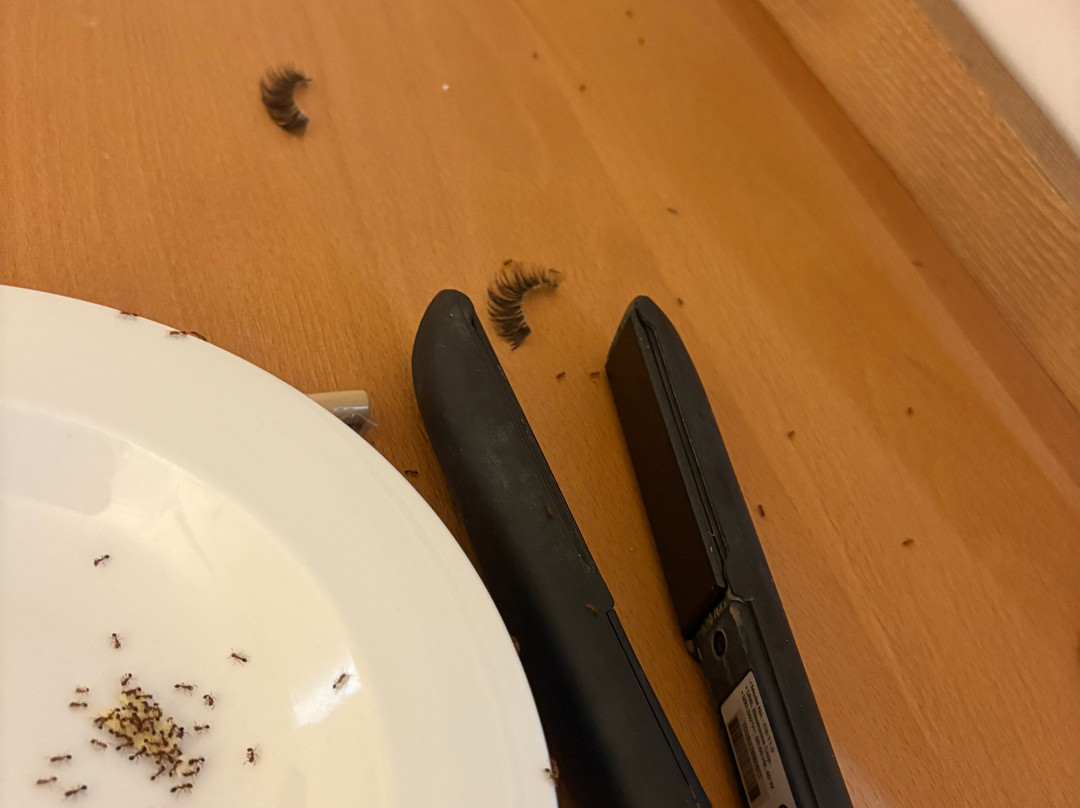 音索特蓬普瑞玛度假酒店主图