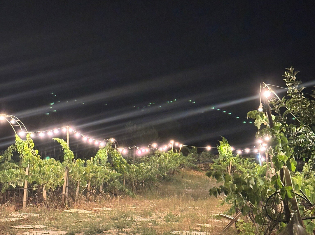 Cantina Albea winery and museum-阿尔贝罗贝洛必去景点