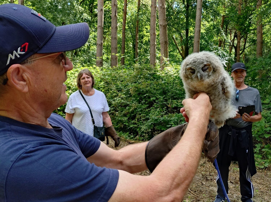 East Sussex Falconry-Herstmonceux必去景点