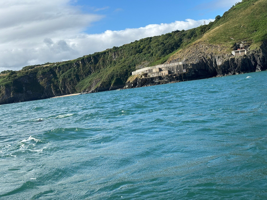 A Bay To Remember Wildlife Boat Trips-St. Dogmaels必去景点