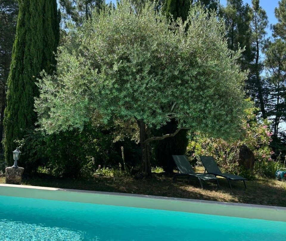 Brin d Ardèche