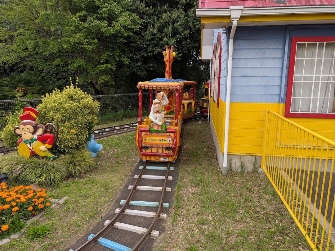 Japan Monkey Park-犬山市必去景点