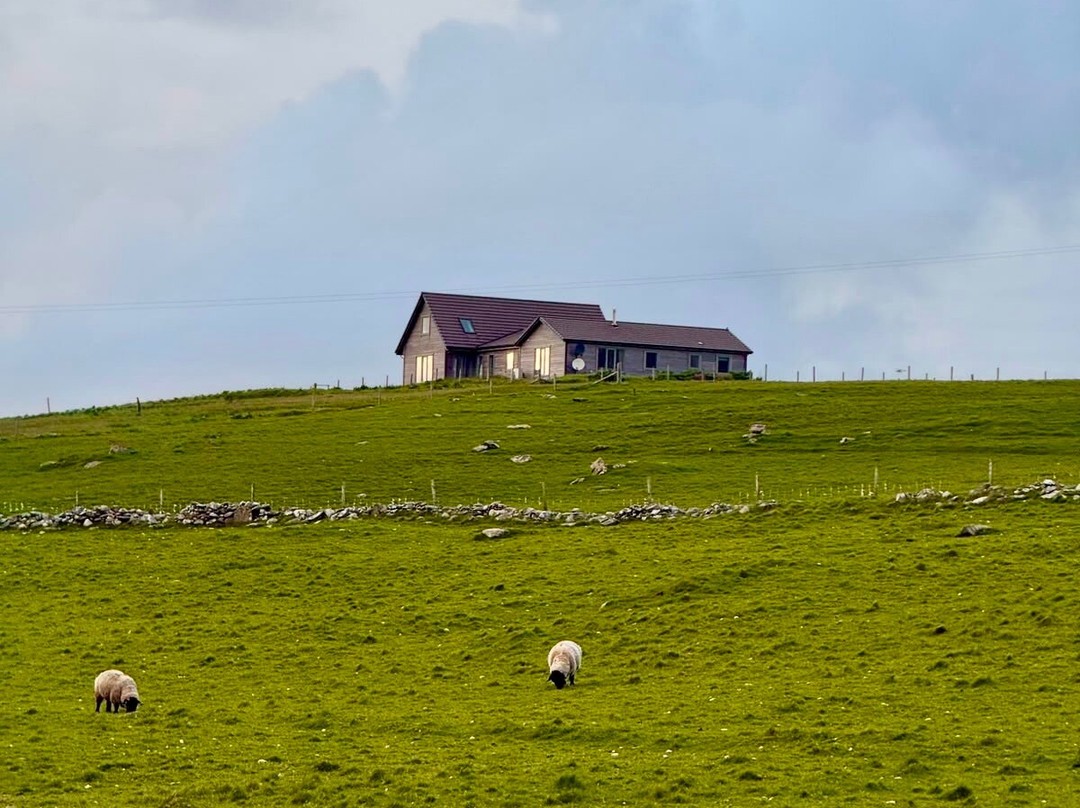 Shetland Nature-Unst必去景点