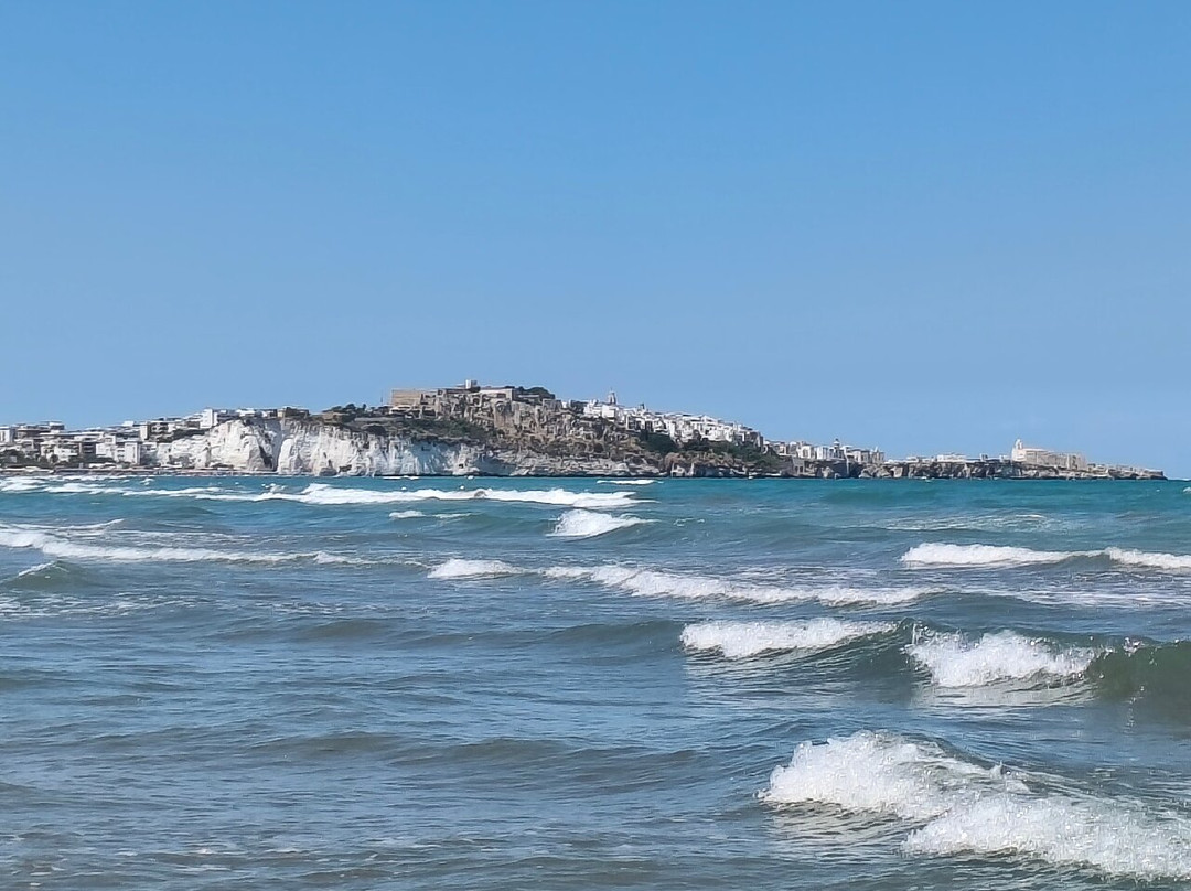 Spiaggia di Portonuovo-维耶斯泰必去景点
