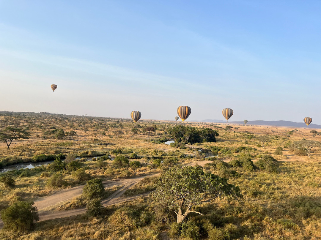 Nyssa Balloon Safaris-Seronera必去景点