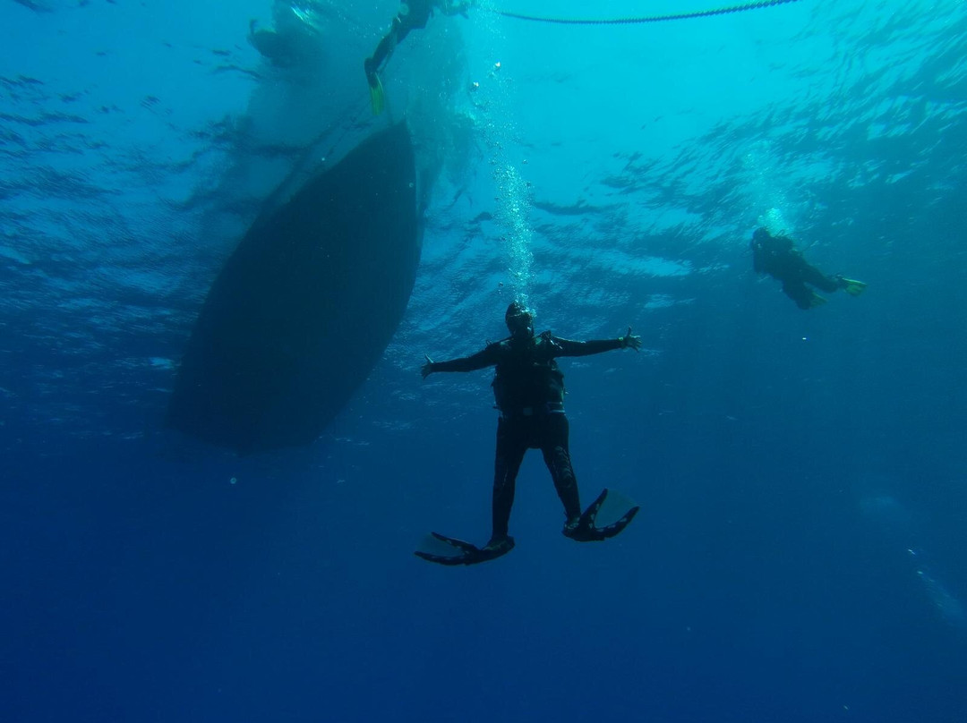 Voglia di Mare Diving Center-Marettimo必去景点