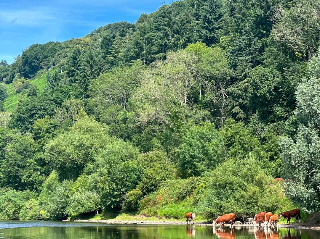Paddleboarding Adventures-瓦伊河畔罗斯必去景点