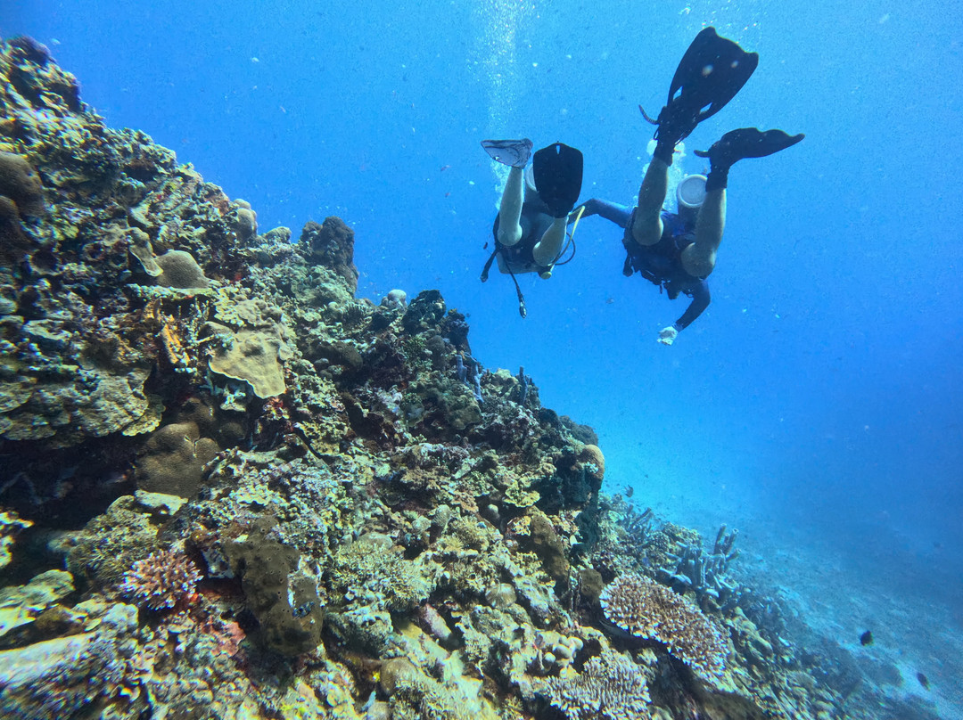 Meno Dive Club-Gili Meno必去景点