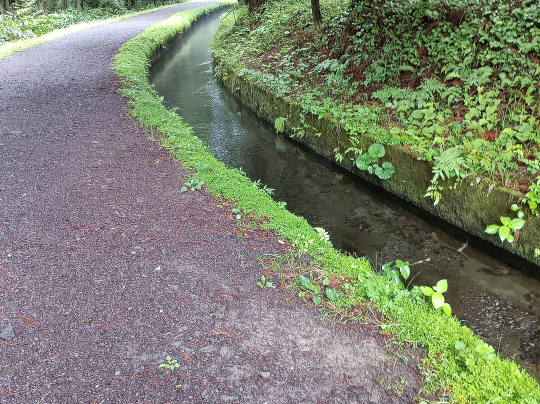 Mototakifukuryusui-仁贺保市必去景点