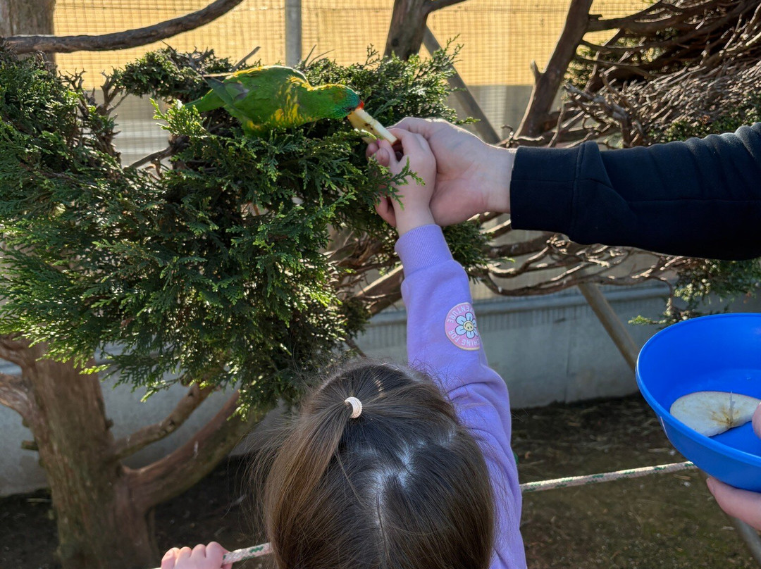 Canberra Walk in Aviary-尼克斯必去景点