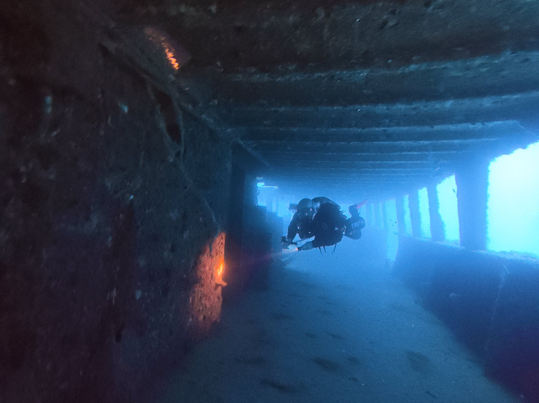 Paradise Diving Malta-史克华必去景点