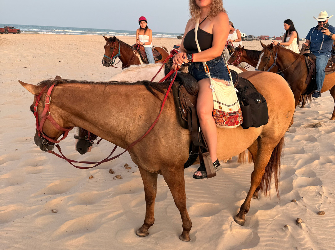 South Padre Island Adventure Park-南帕诸岛必去景点
