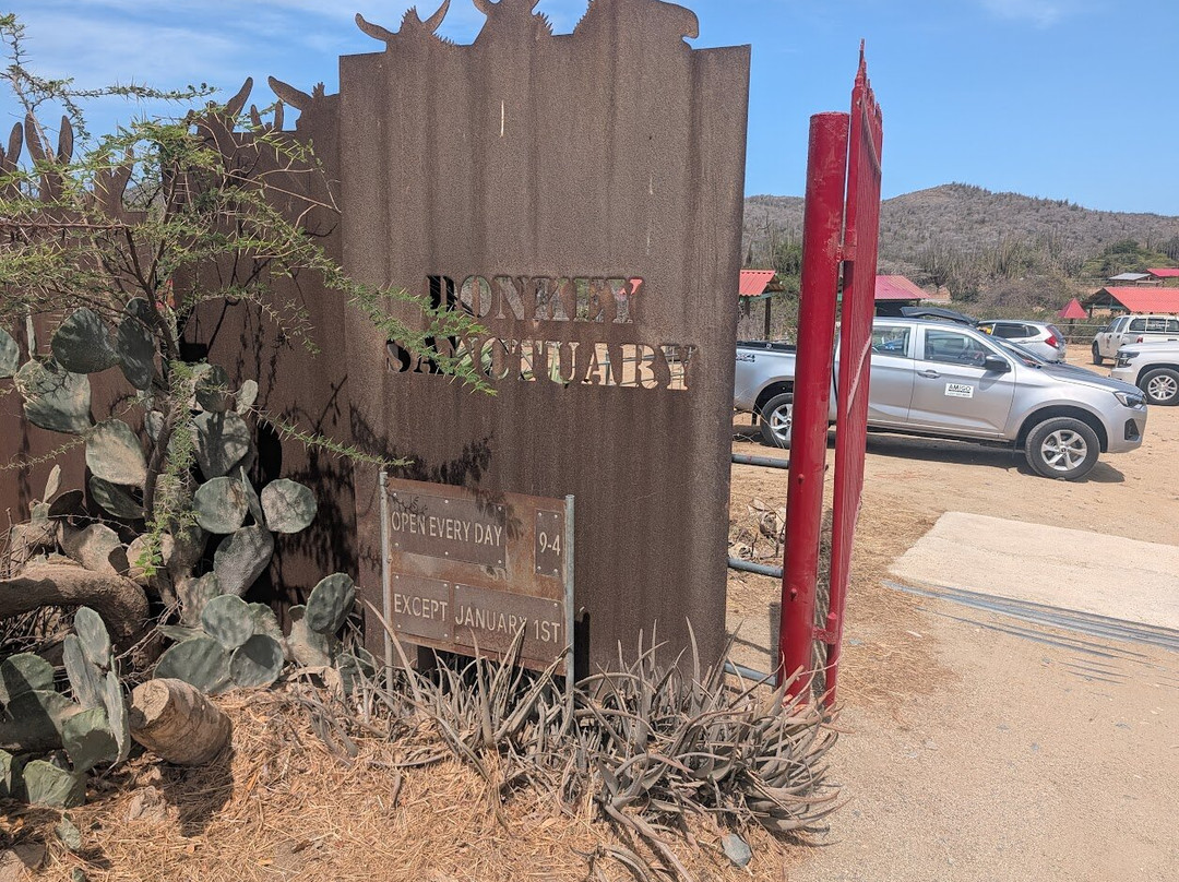 Donkey Sanctuary Aruba-Santa Cruz必去景点