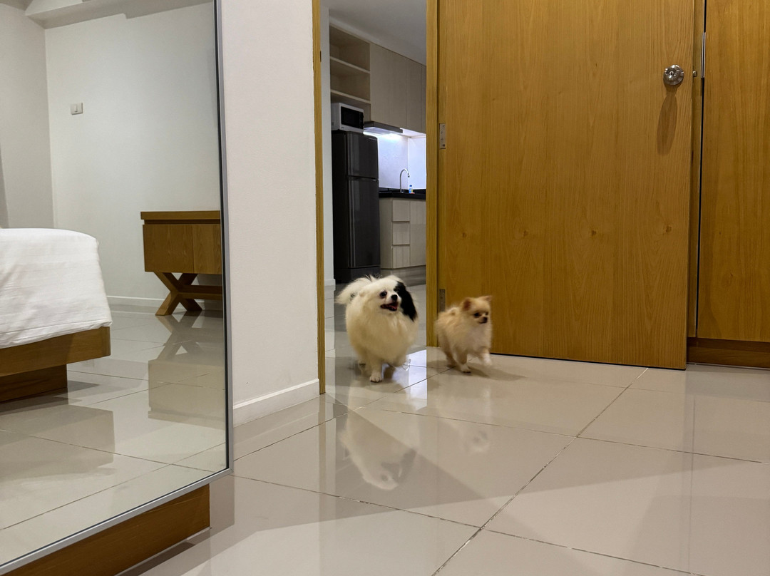 Fourium Pattaya Hotel and Serviced Residence主图
