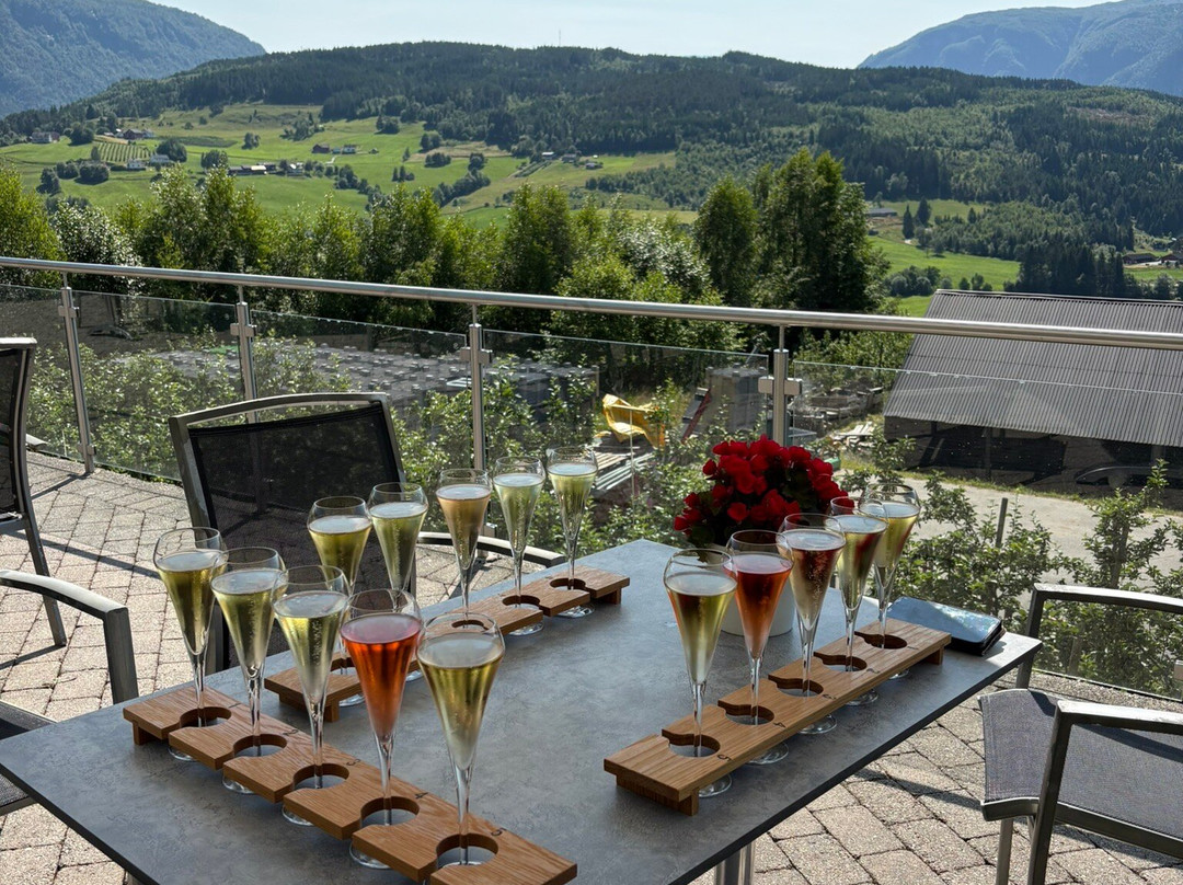Hardanger Saft og Siderfabrikk-Ulvik必去景点