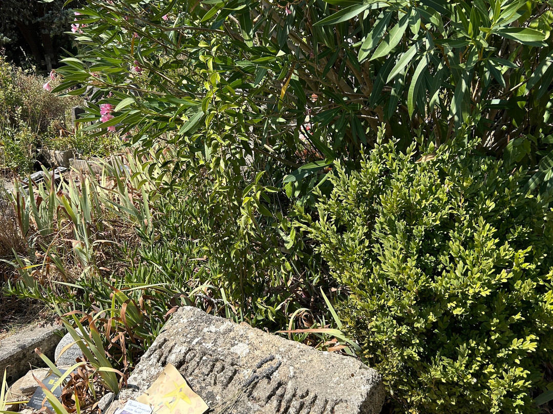 Albert Camus Grave-Lourmarin必去景点