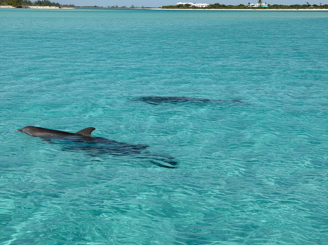 Paradise Luxury Charters-Turtle Cove必去景点