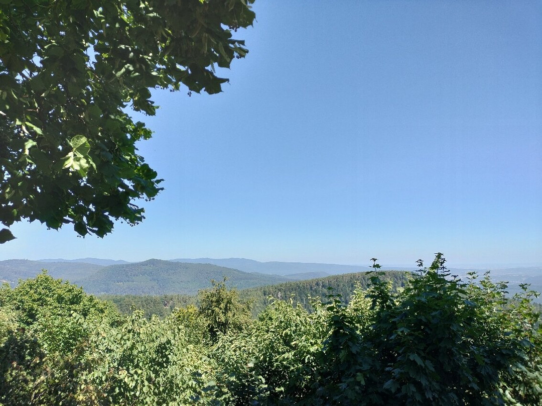 Sanctuaire du Mont Sainte Odile-奥特罗特必去景点