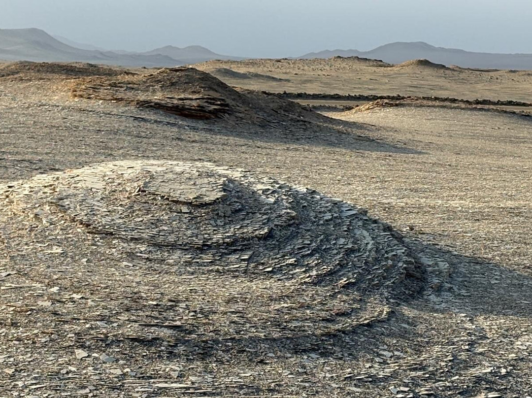 Paracas National Reserve-Ica Region必去景点