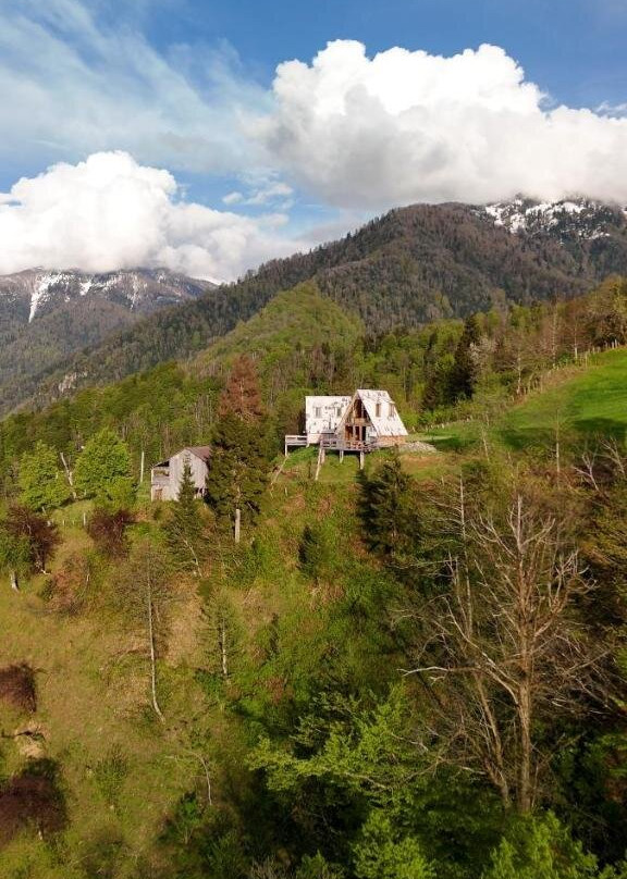 Green Gundauri