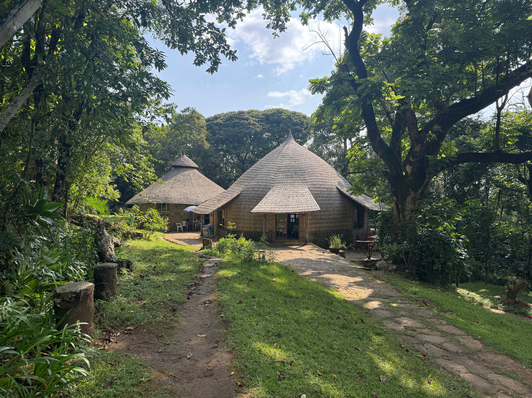 Liyu Ethiopia Tours-亚的斯亚贝巴必去景点