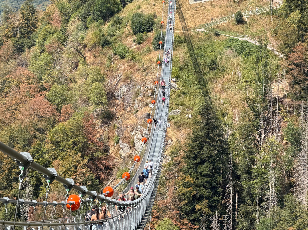 Blackforestline Hangebrucke-托特瑙必去景点