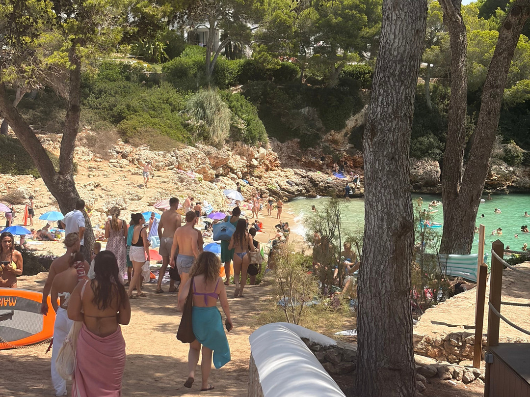 Cala Esmeralda Beach-卡拉多尔必去景点