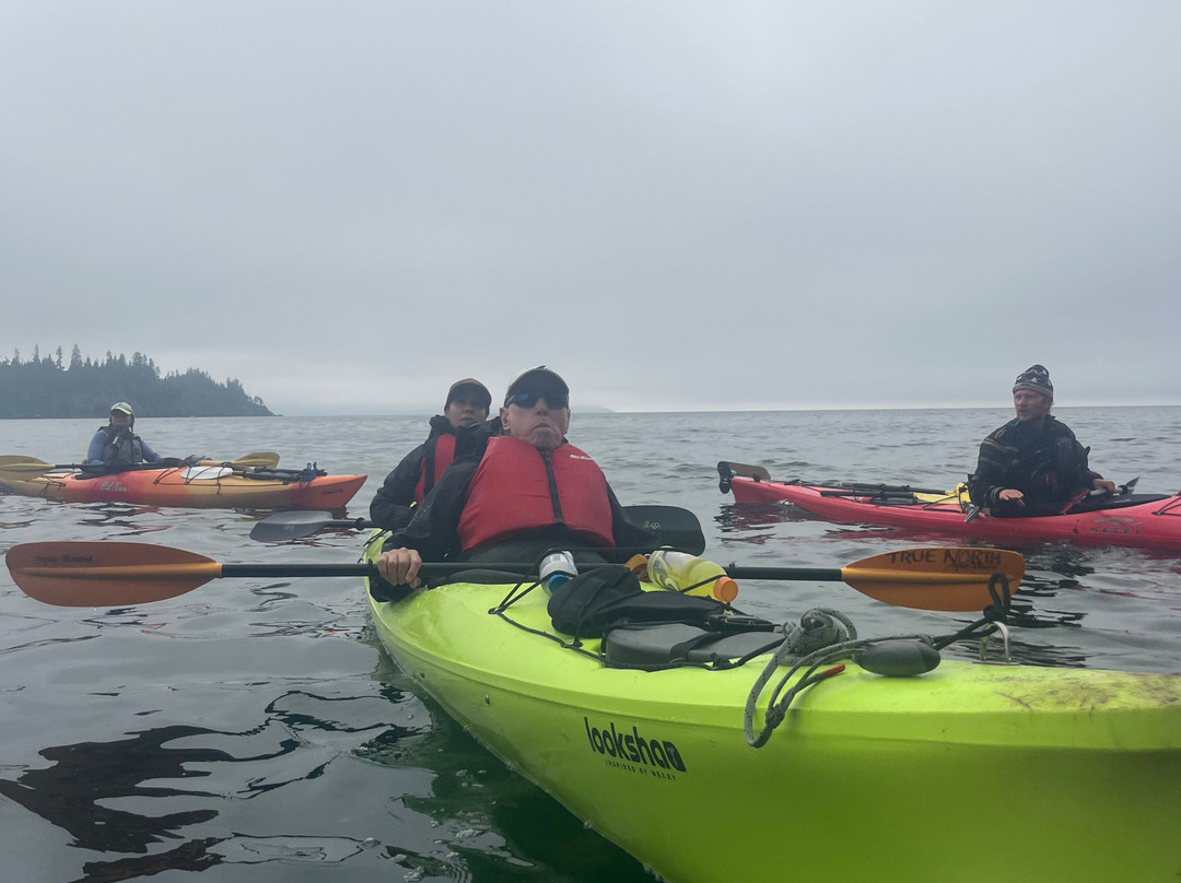 True North Kayak Adventures-荷马必去景点
