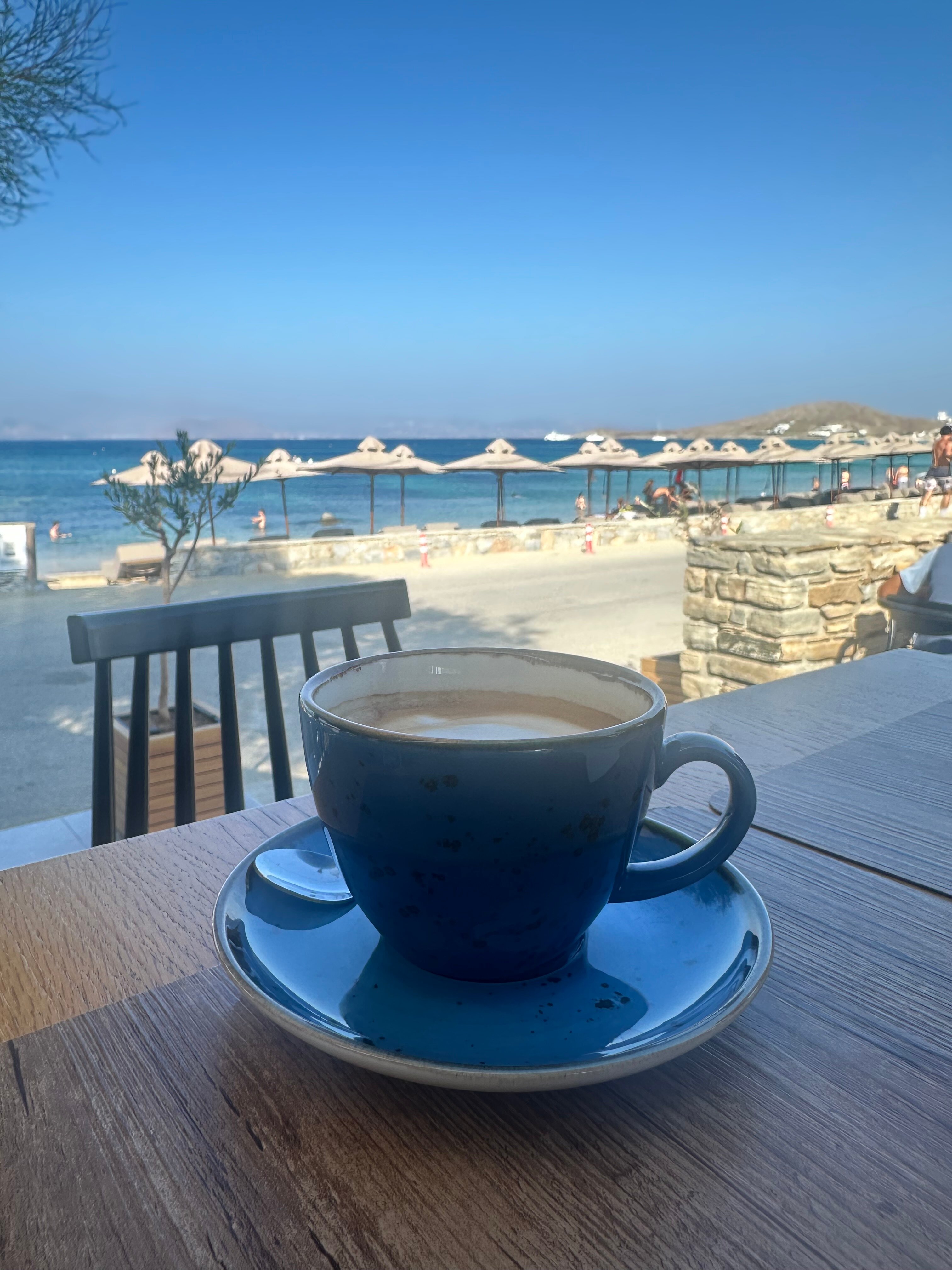 利亚纳海滩水疗酒店-旅行者