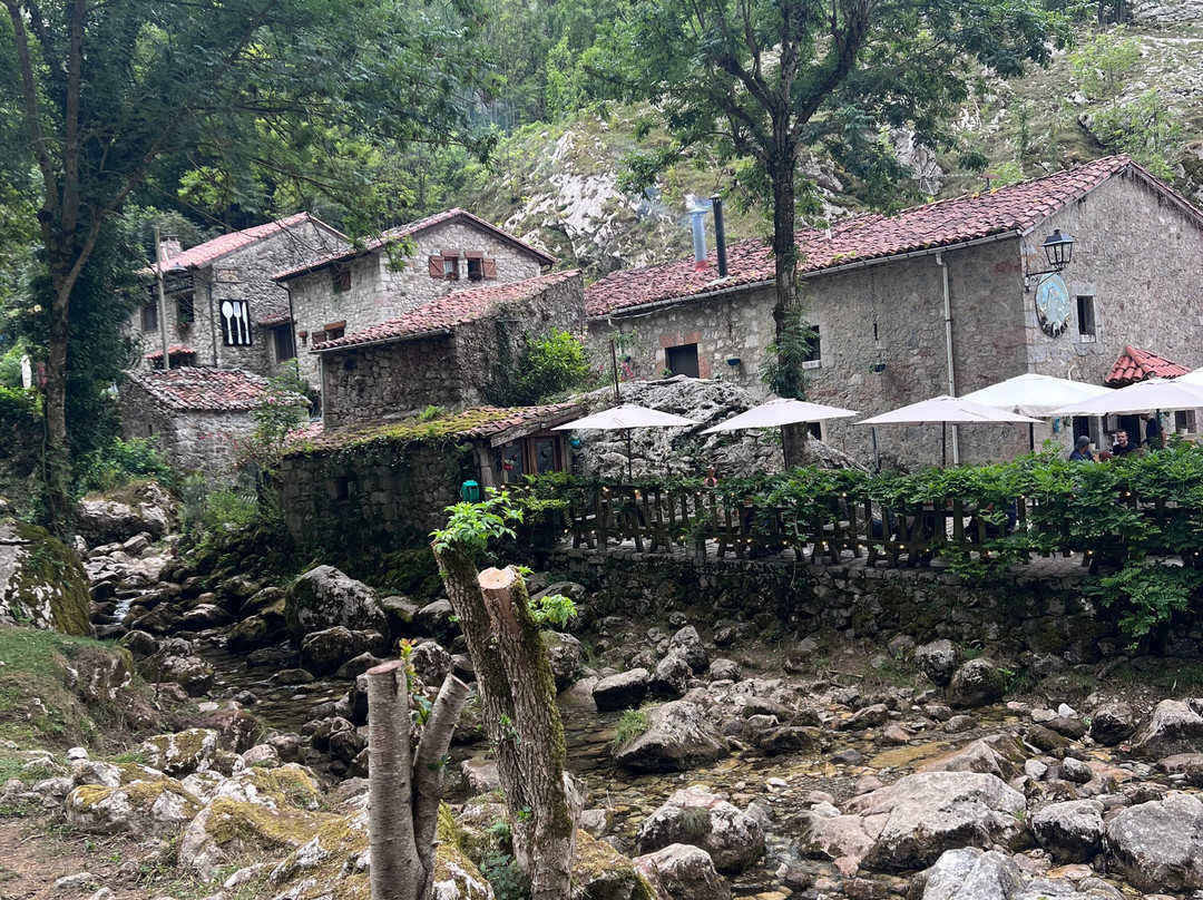 Funicular de Bulnes-Poncebos必去景点