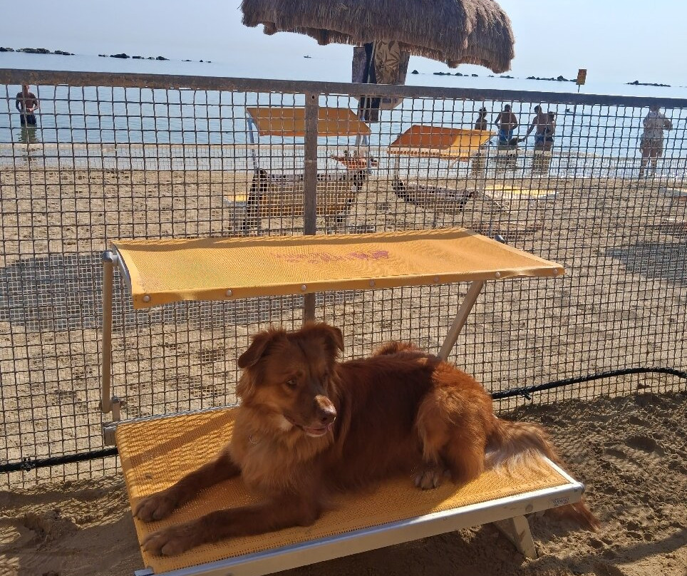 Scoobydoo Beach-Campomarino Lido必去景点