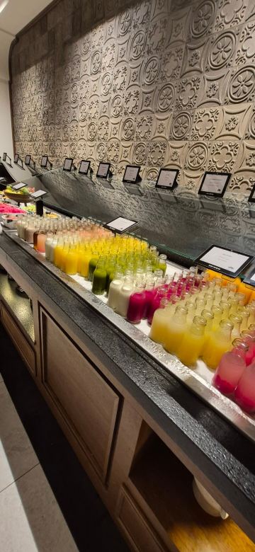 瓦伦丁玛雅帝国海滨成人全包酒店-旅行者