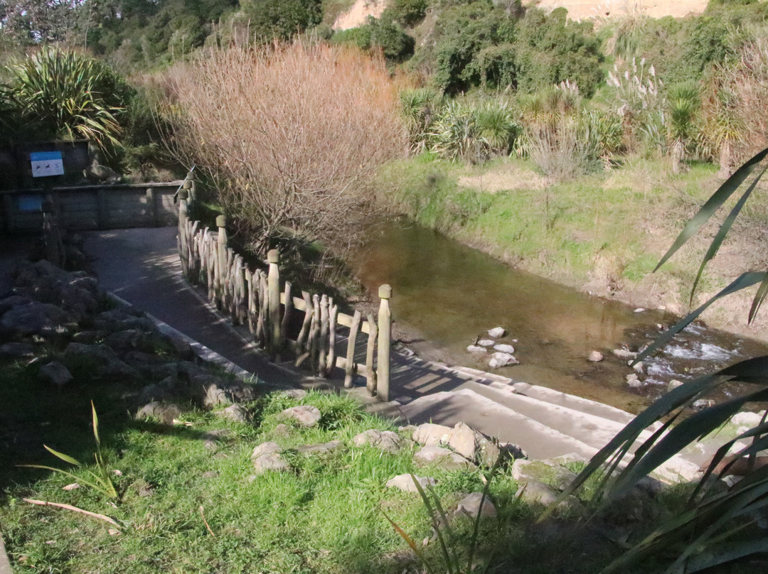 Urban Eels Palmerston North-北帕墨斯顿必去景点