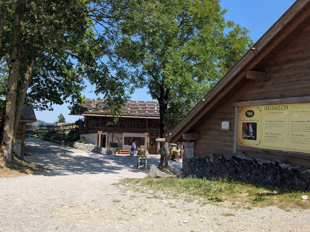 Terrassen-Camping am Richterbichl主图