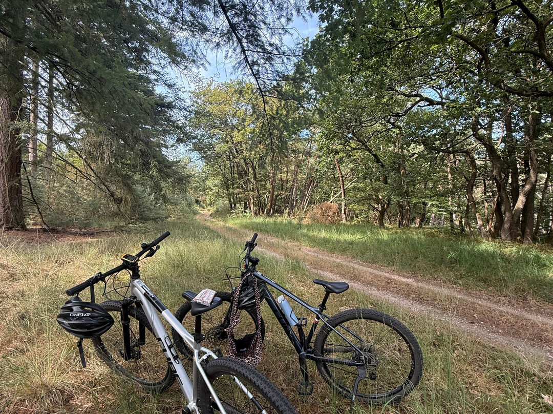 Mountainbiken Op De Veluwe-Emst必去景点