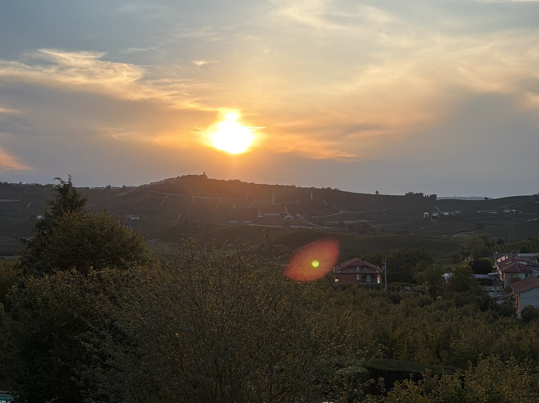 Il Vigneto Di Roddi主图