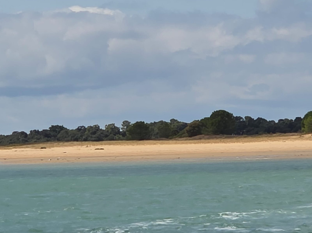 Les Croisières Oléronaises-Boyardville必去景点