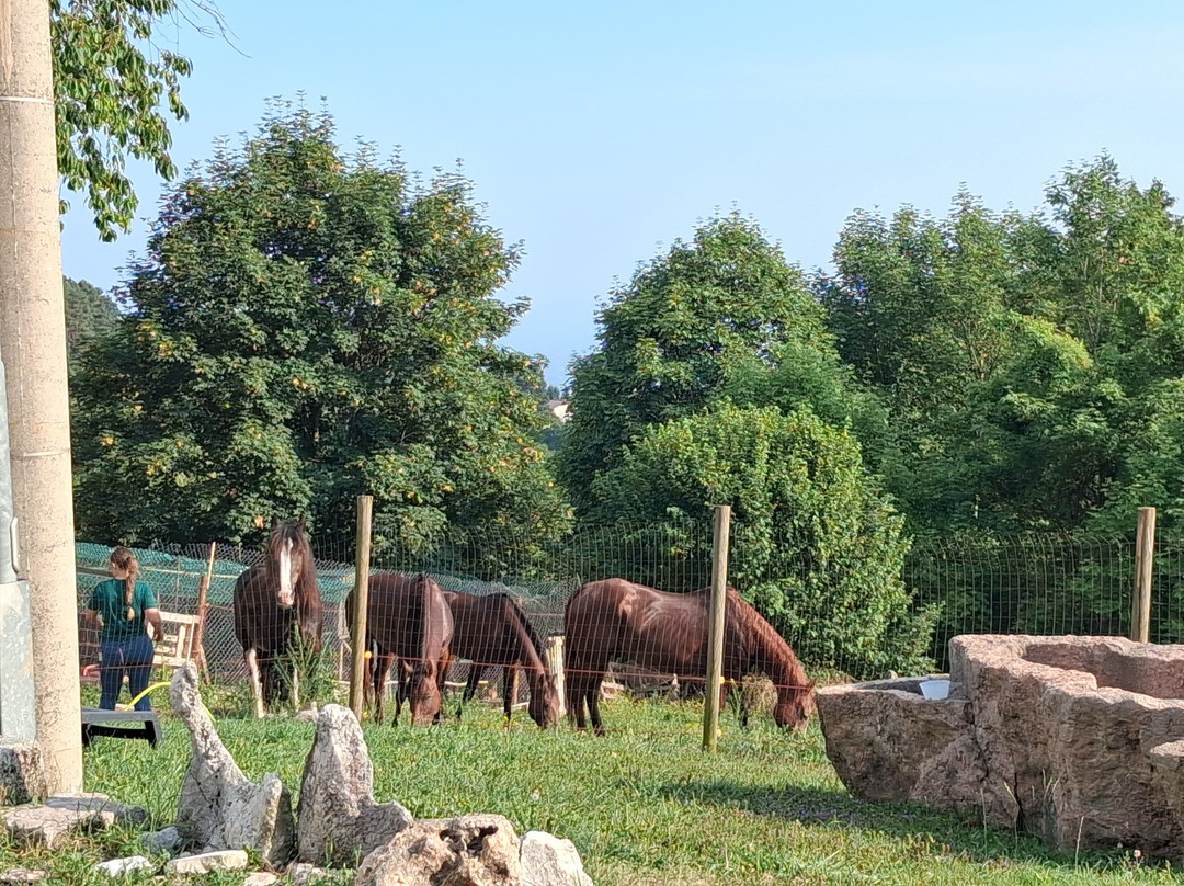 Bed and Breakfast Country House Rugiada主图