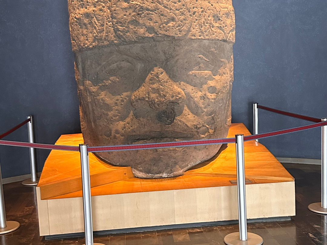 国家人类学博物馆 (Museo Nacional de Antropologia)-墨西哥城必去景点