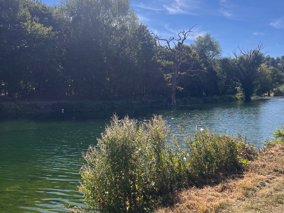 Meon Springs Fly Fishery-East Meon必去景点