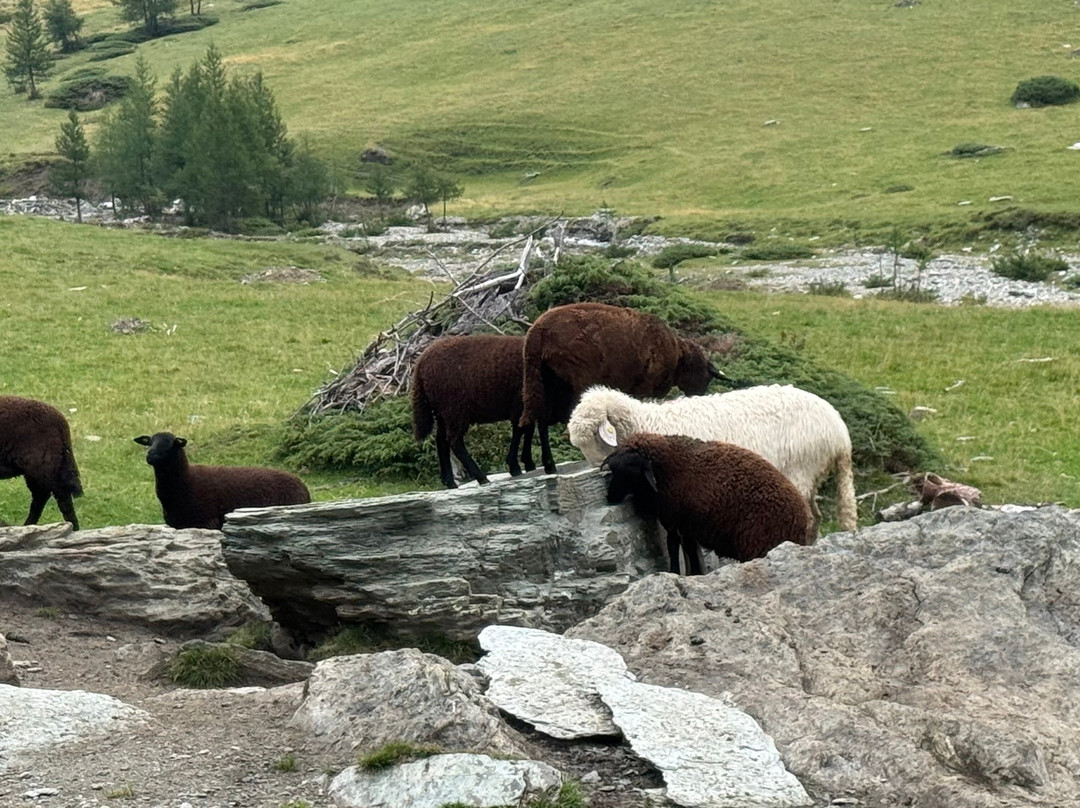 Nationalpark Hohe Tauern-林兹必去景点