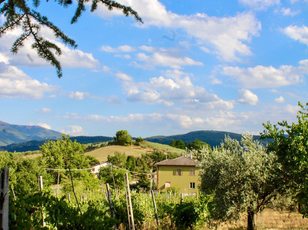 卡萨莱福斯科酒店主图