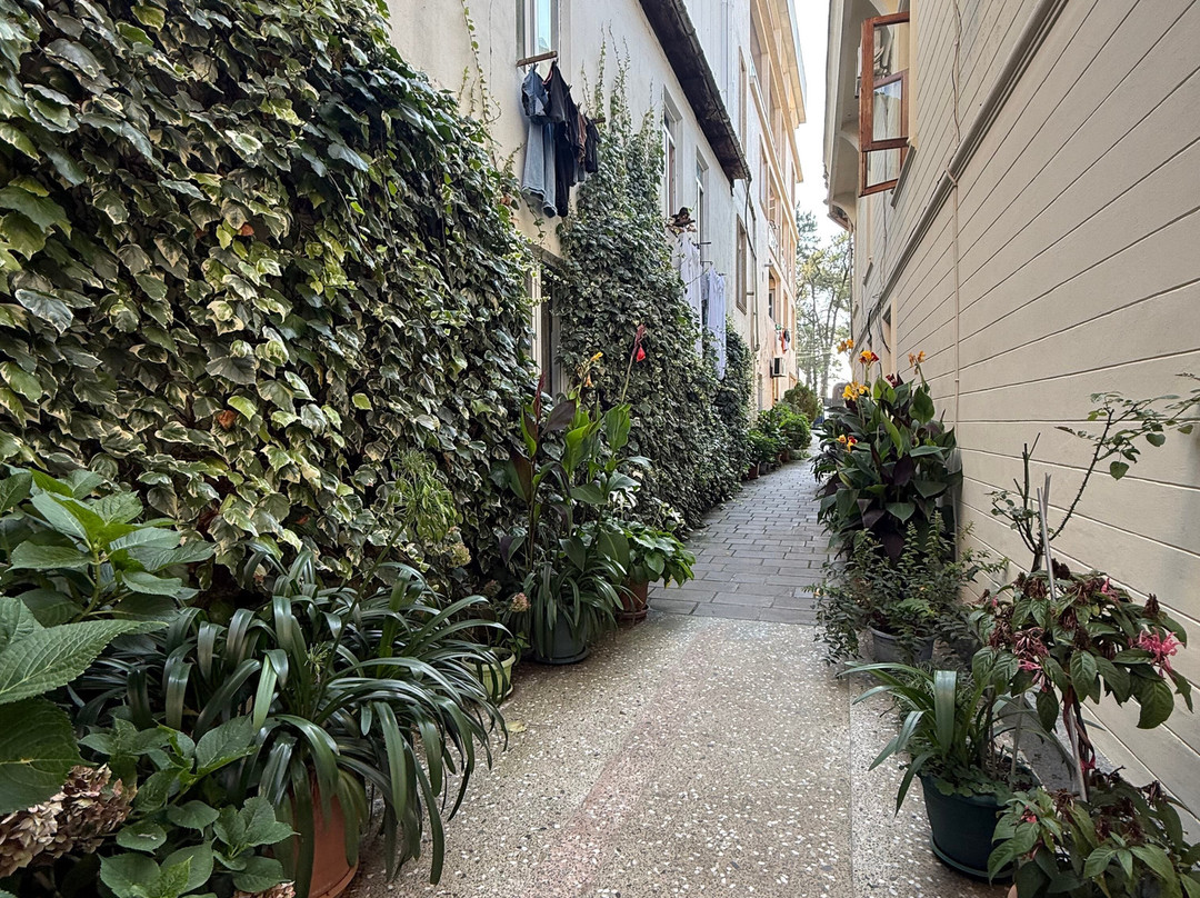Chveni Ezo Boutique Hotel主图
