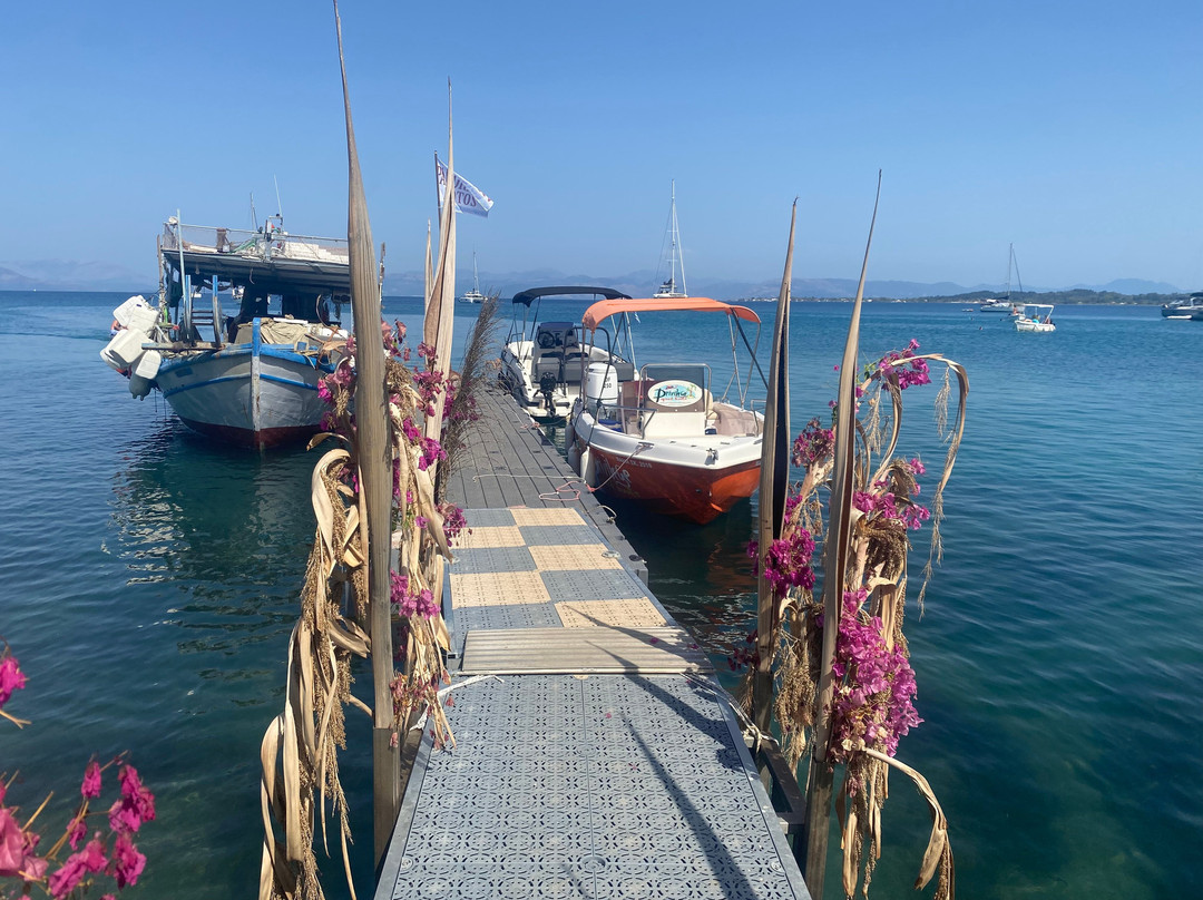 Privilege Speed Boats