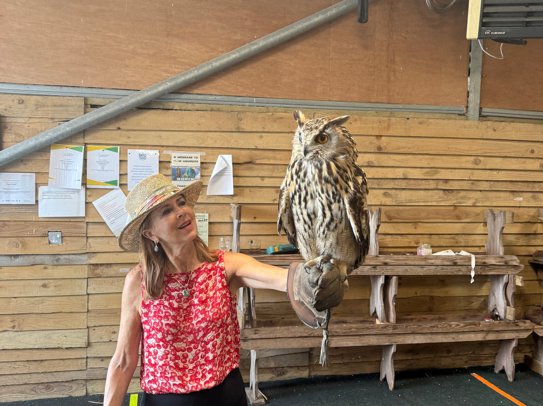 Perriswood Archery & Falconry Centre-Penmaen必去景点